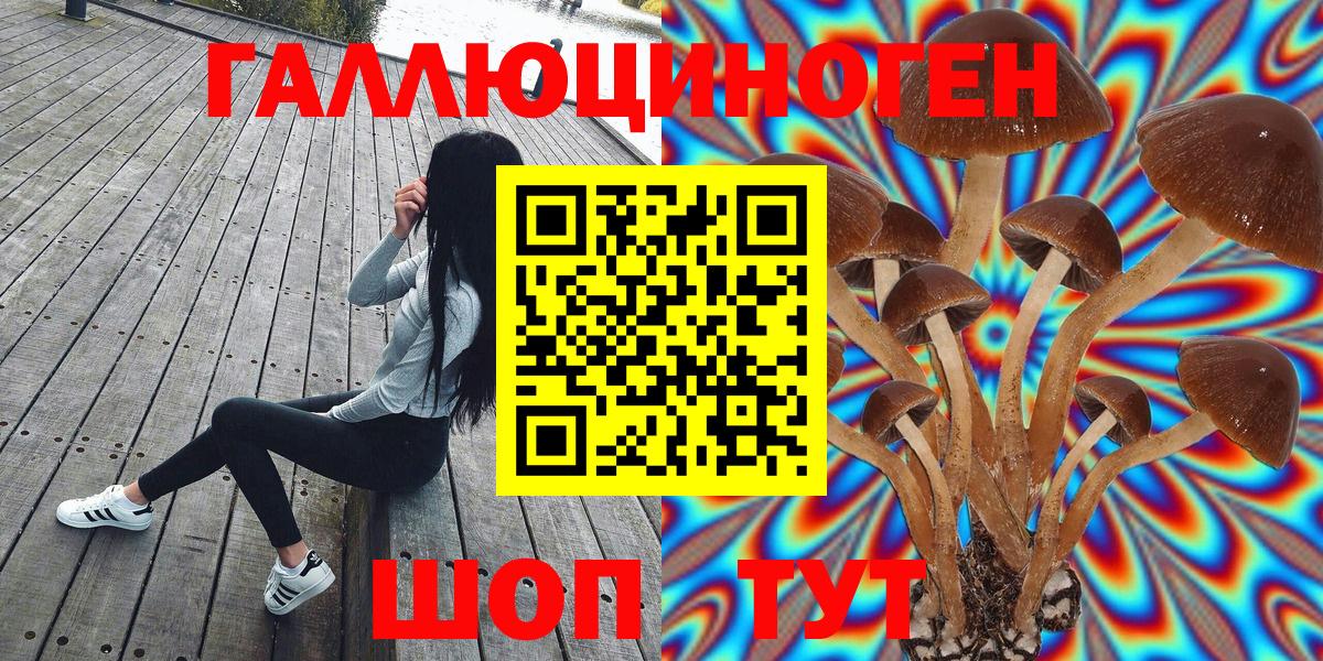 Галлюциногенные грибы Psilocybine cubensis  Псилоцибиновые грибы Cubensis  наркота  Вход с VPN  Можга 