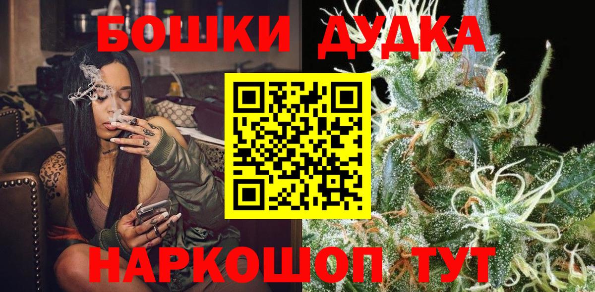 Конопля гибрид Можга